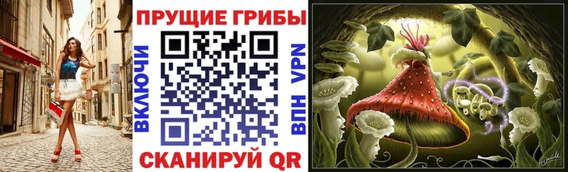 OMG ССЫЛКА  закладки  Николаевск  Галлюциногенные грибы GOLDEN TEACHER 